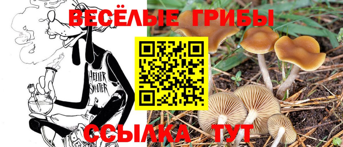 Псилоцибиновые грибы ЛСД Ликино-Дулёво